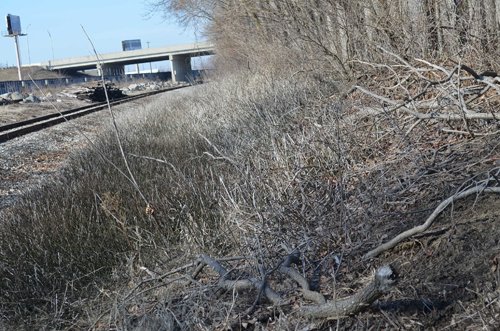 Property photo 3 - East Allen County - 55 Acre Land Auction